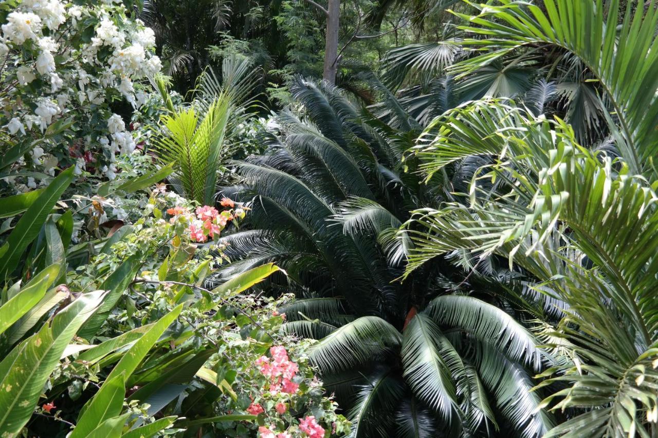 Muri Retreat Apartments Rarotonga Dış mekan fotoğraf