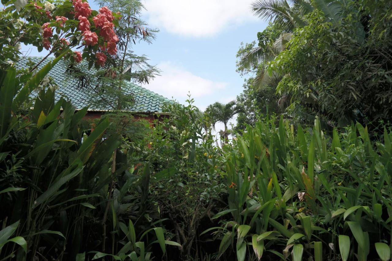 Muri Retreat Apartments Rarotonga Dış mekan fotoğraf