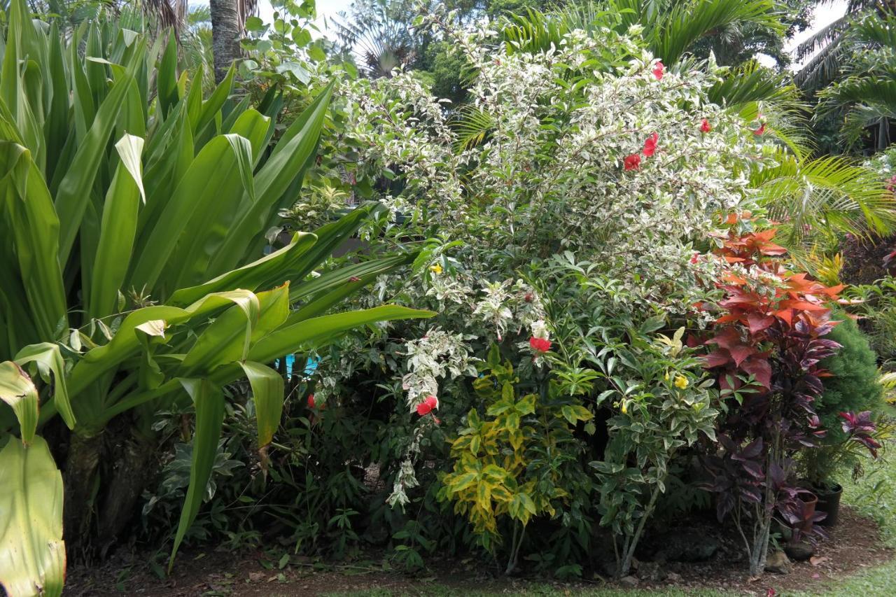 Muri Retreat Apartments Rarotonga Dış mekan fotoğraf